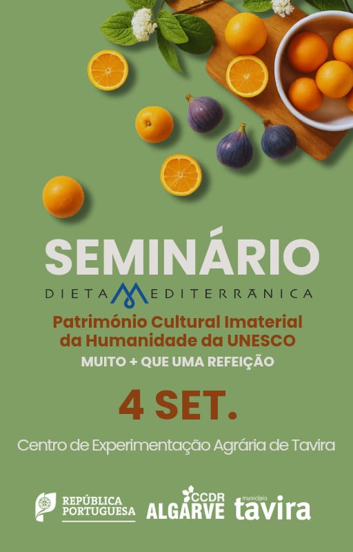4 Set Seminário FDM 2