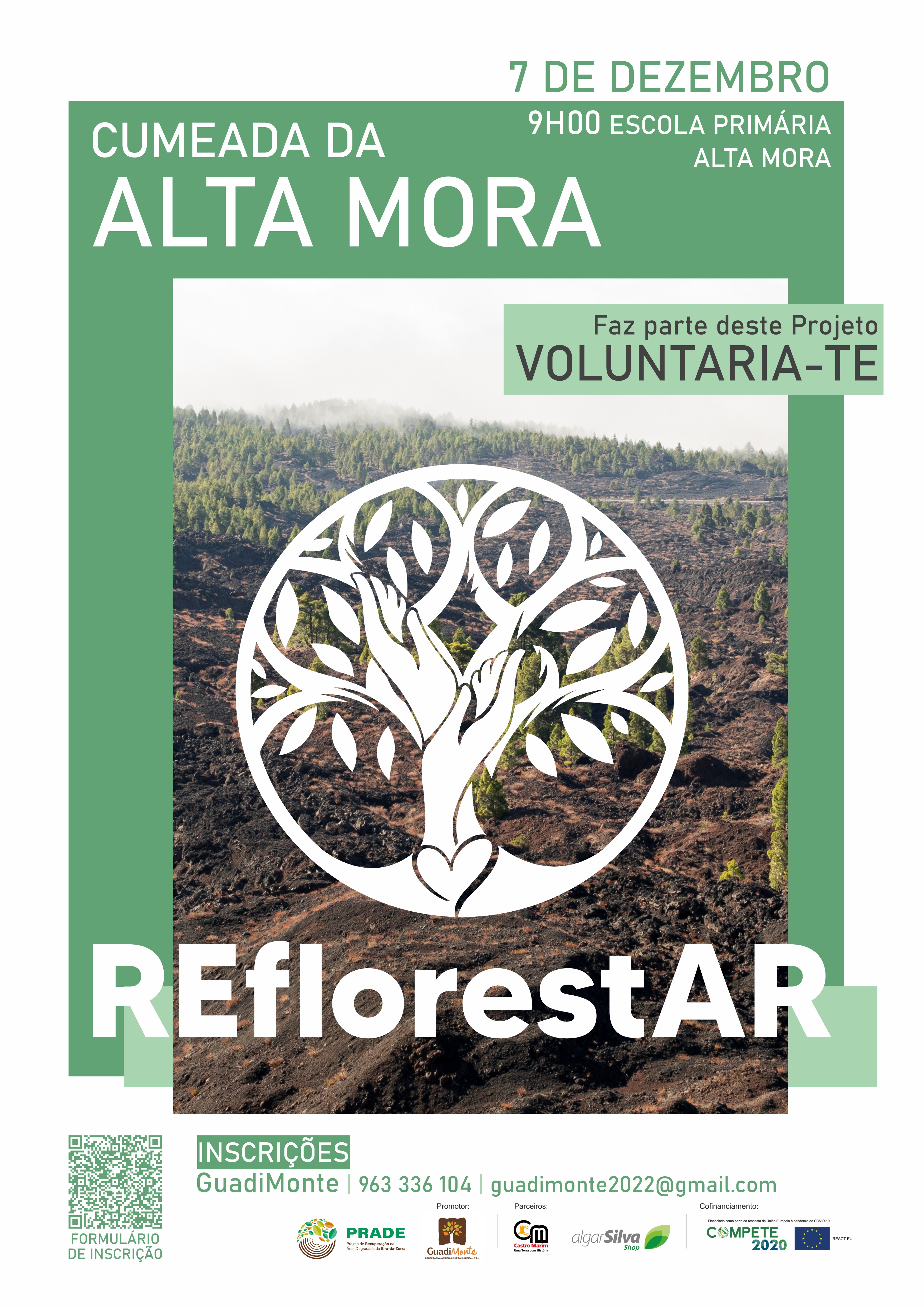 cartaz reflorestar 24