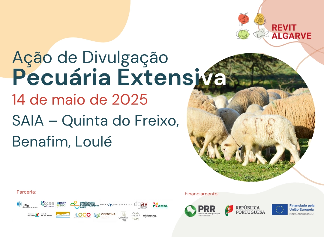 Ação de Divulgação site