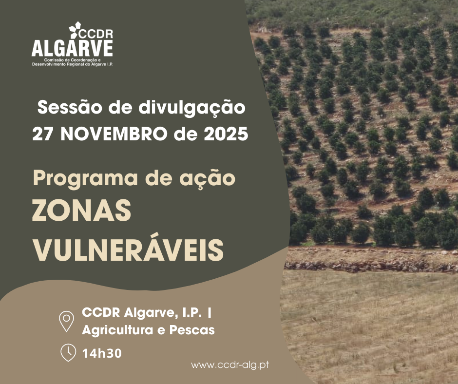 ZonasVulneraveis 27NOV25